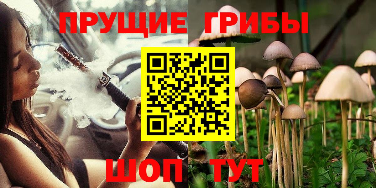 где найти наркотики  Вход с VPN  Краснокаменск  Псилоцибиновые грибы мицелий 